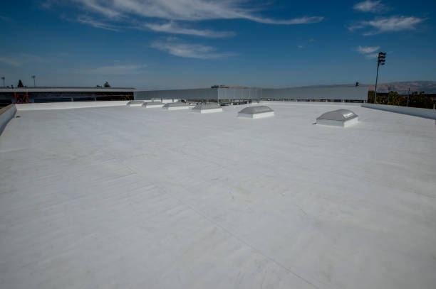 Best Hot Roofs  in Inkster, MI
