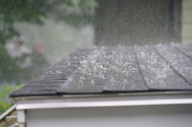 Best Steel Roofing  in Inkster, MI