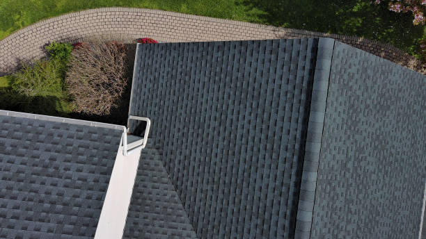 Best Roof Maintenance and Cleaning  in Inkster, MI